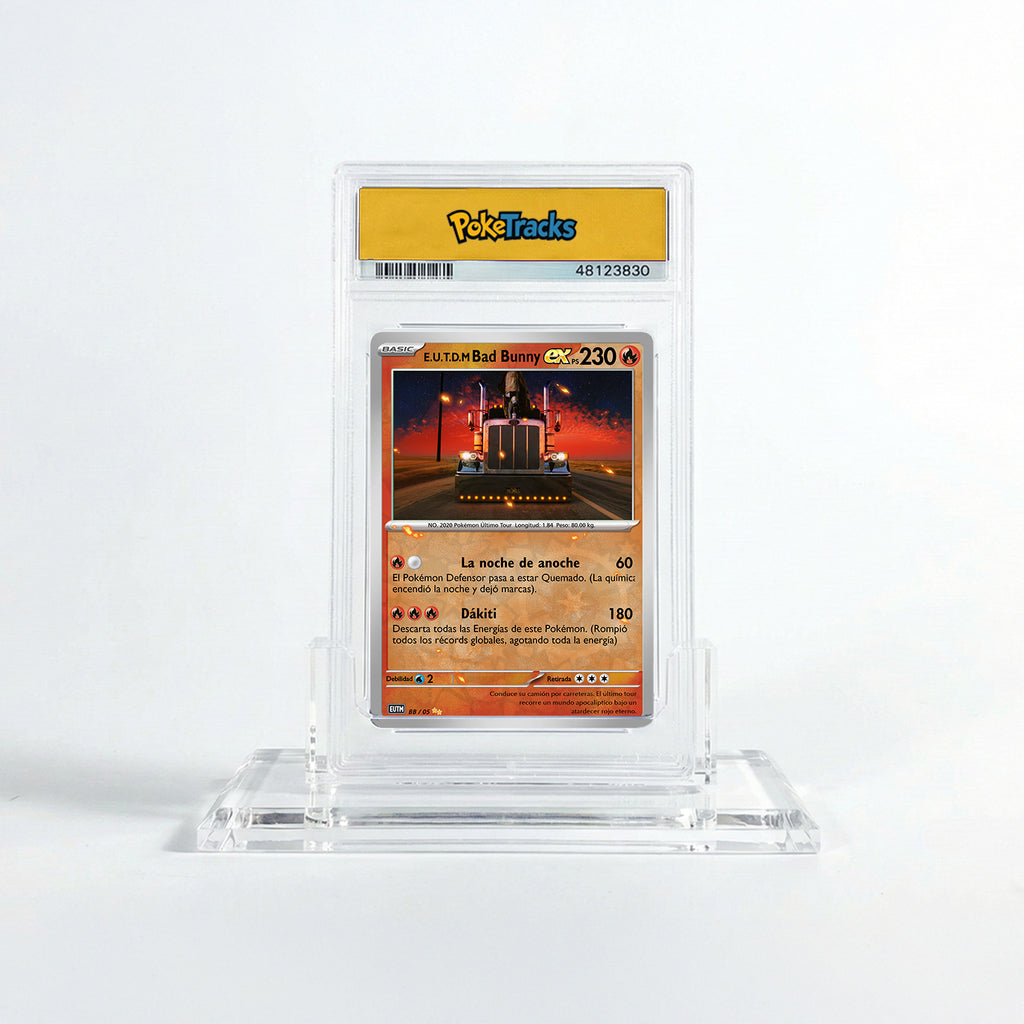 El último tour del mundo