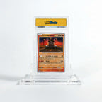 El último tour del mundo