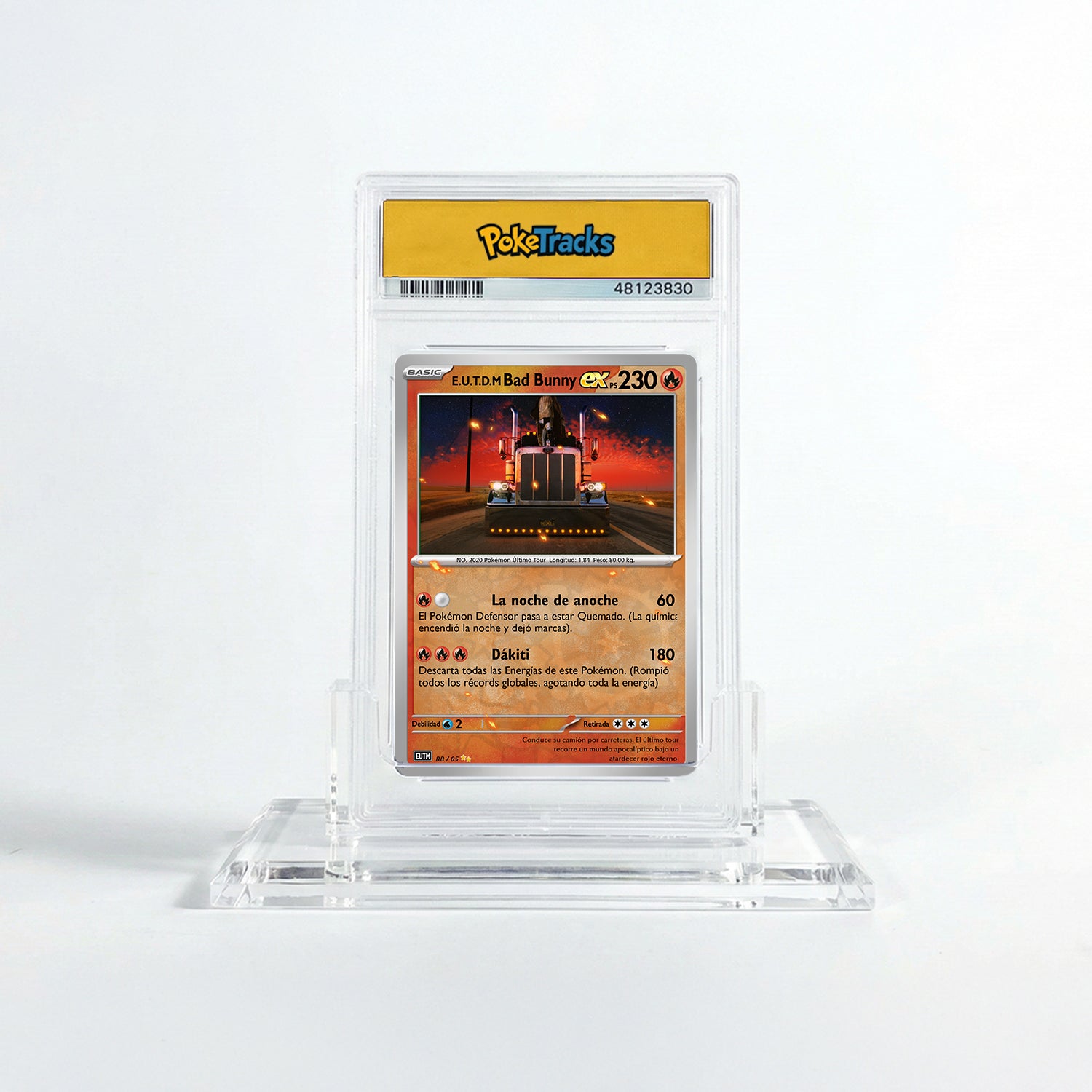 El último tour del mundo